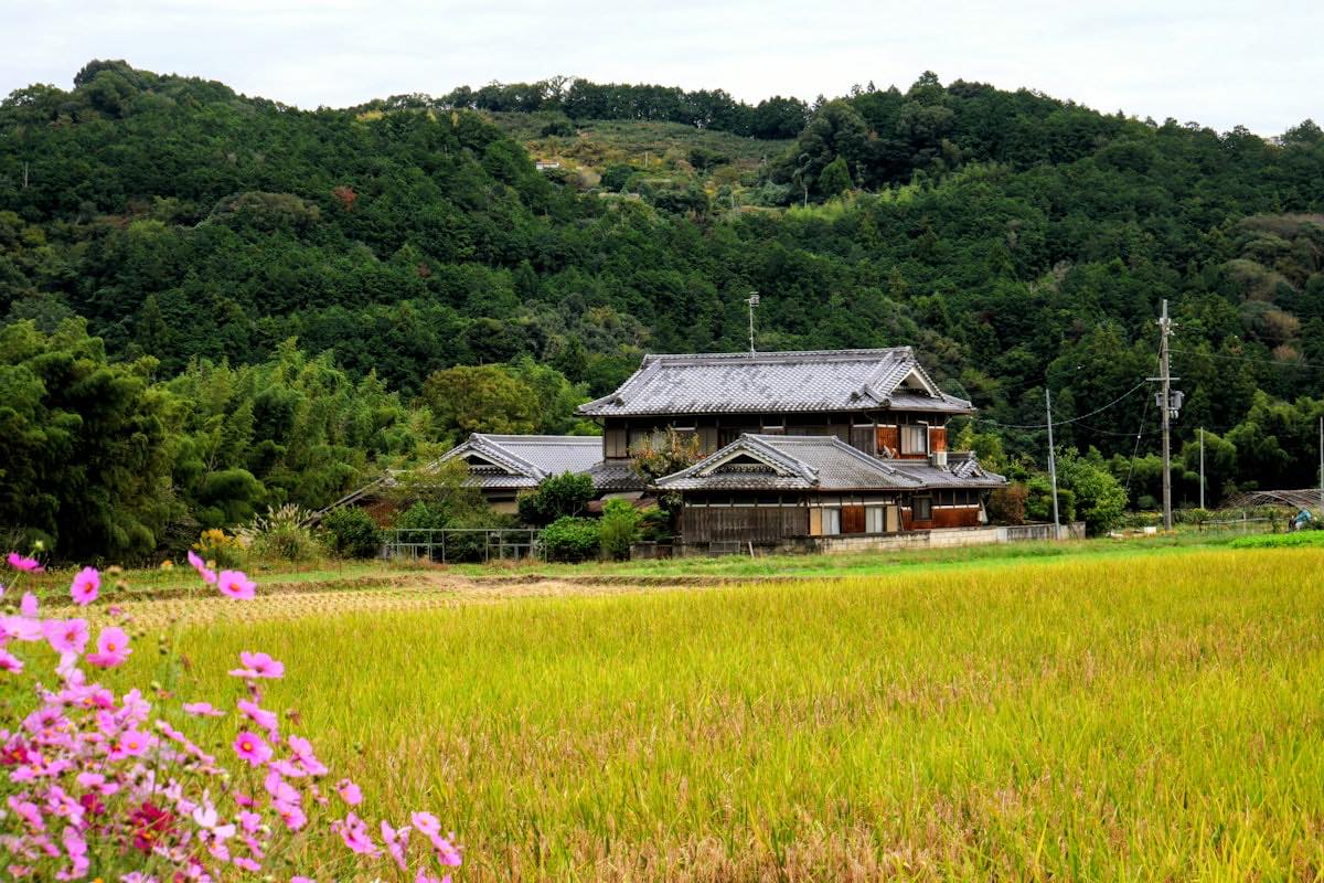 田舎移住で光熱費は本当に下がる？ — 上がる項目・下がる項目を公的データで正直に検証2026